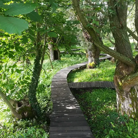 Davidovic-fruska Gora 3* Mandelos