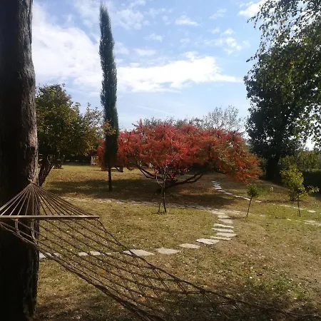 Bed & Breakfast Davidovic-fruska Gora Mandelos