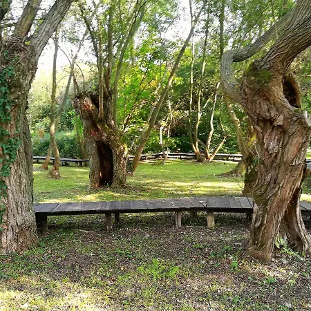 Bed & Breakfast Davidovic-fruska Gora