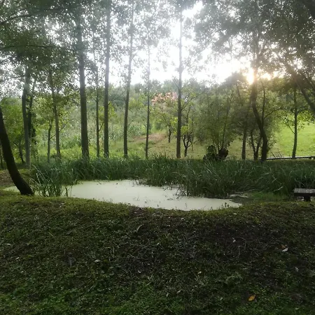 Davidovic-fruska Gora