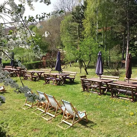 Davidovic-fruska Gora 3*