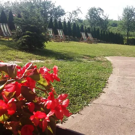 Davidovic-fruska Gora Mandelos