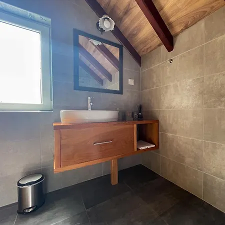 Bed and Breakfast Davidovic-fruska Gora