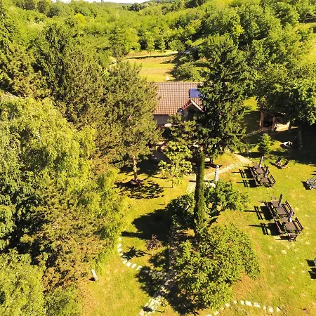 Bed and Breakfast Davidovic-fruska Gora