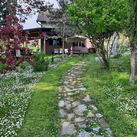 Bed and Breakfast Davidovic-fruska Gora *